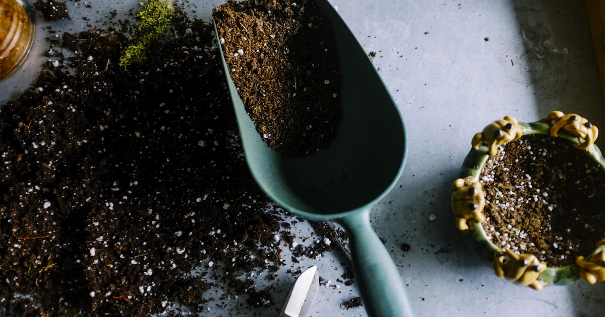 Best Drip Irrigation Kits for Gardens in 2026: Water Smarter, Not Harder